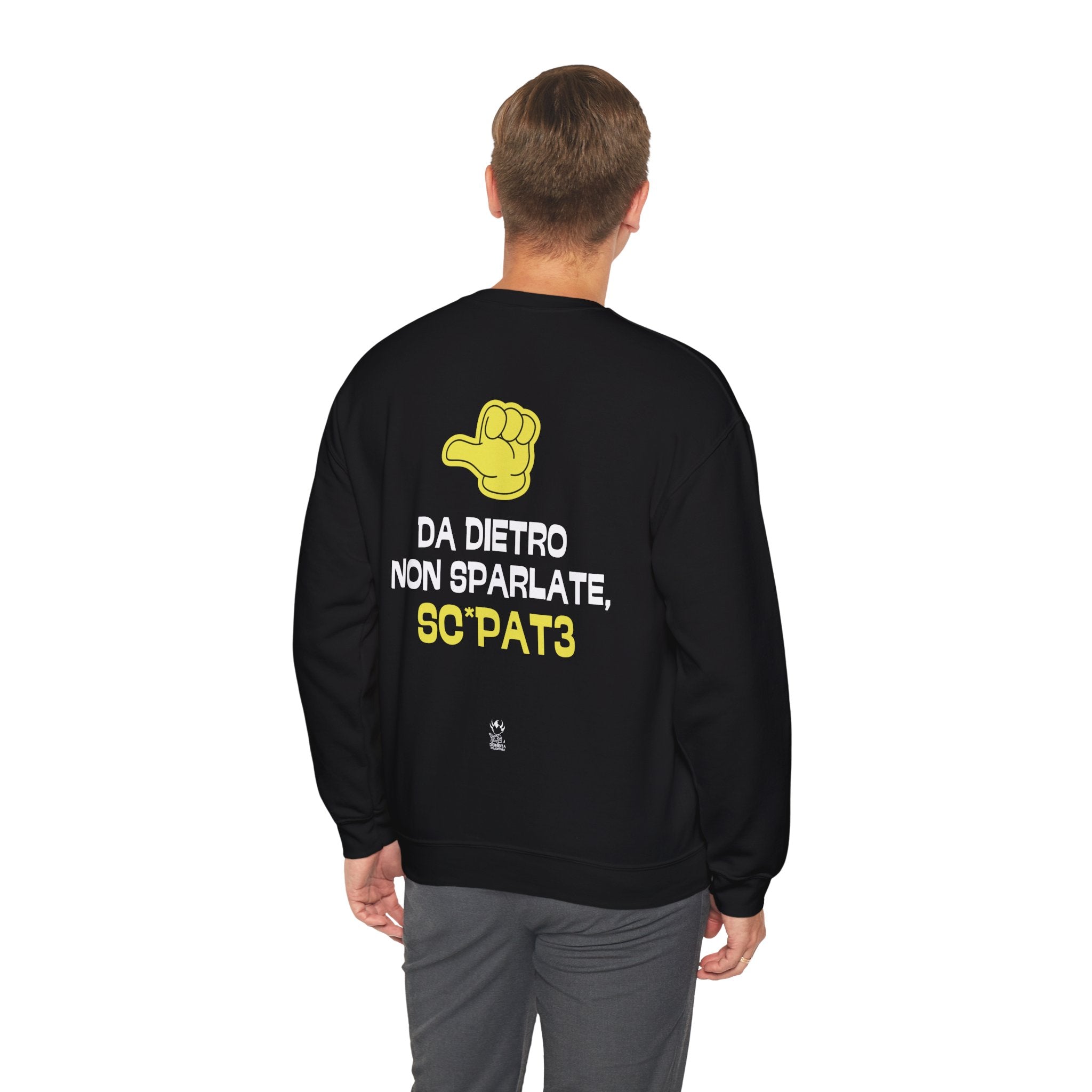 FELPA DA DIETRO NON SPARLATE