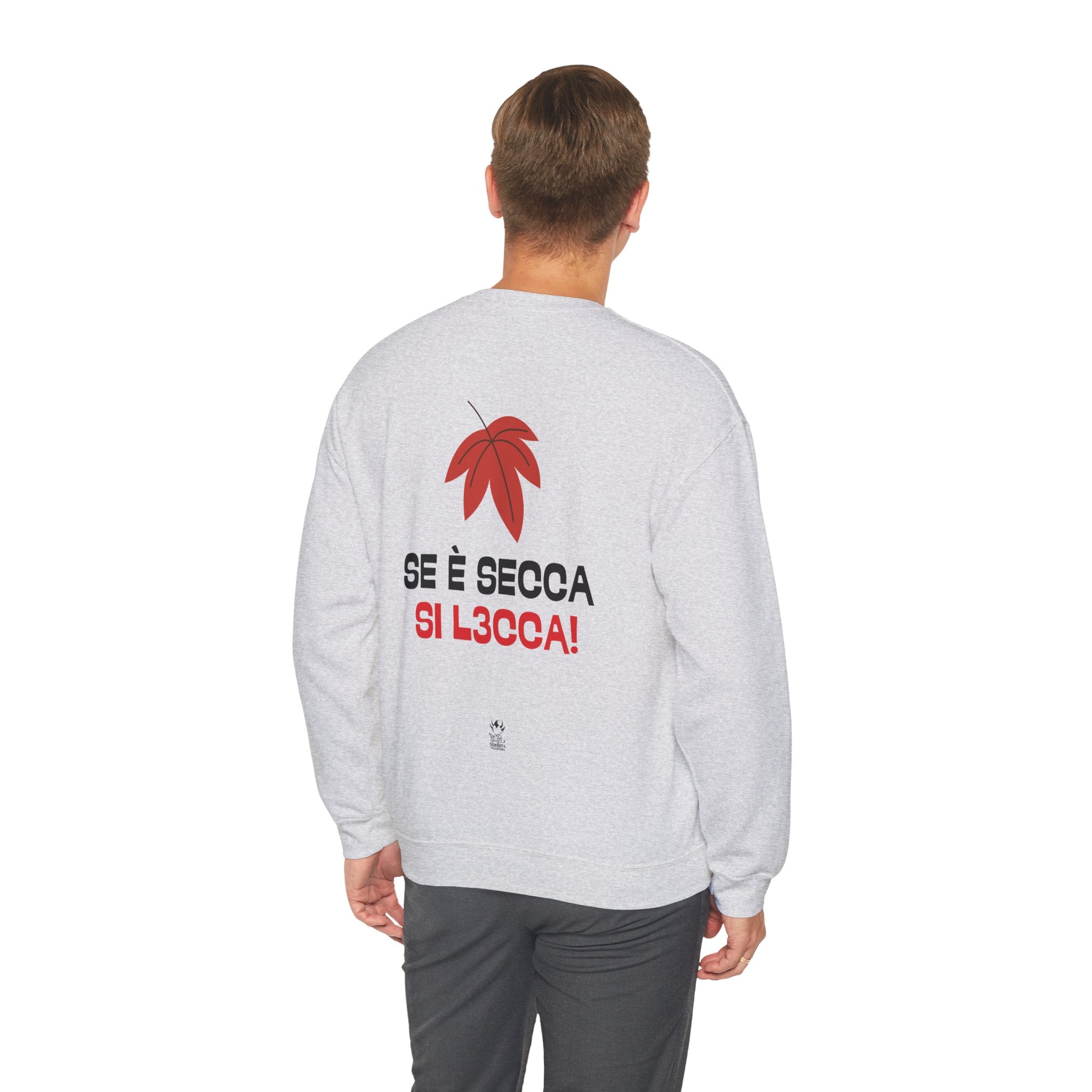 FELPA SE E' SECCA SI L3CCA