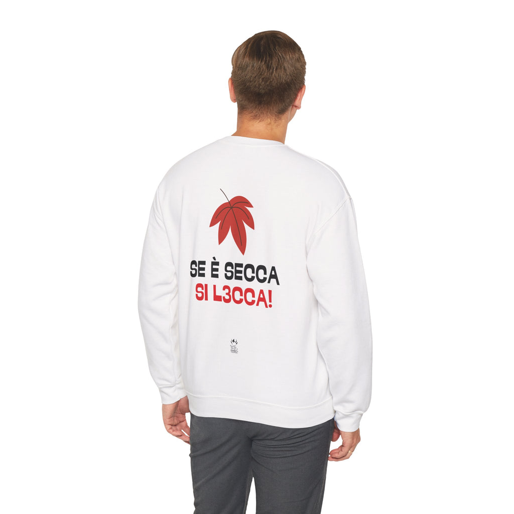 FELPA SE E' SECCA SI L3CCA