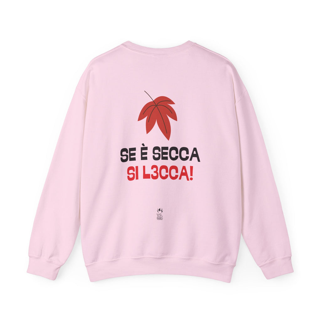 FELPA SE E' SECCA SI L3CCA